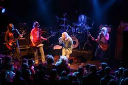 interview The Elderberries